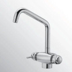 Huber Clinic Plus termostatická kuchyňská baterie chrom CPT6501021