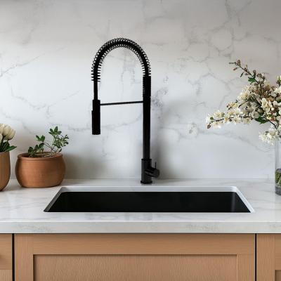 Waterevolution Flow poloprofesionální kuchyňská baterie matná černá s kolonnou a pružinou T157PR