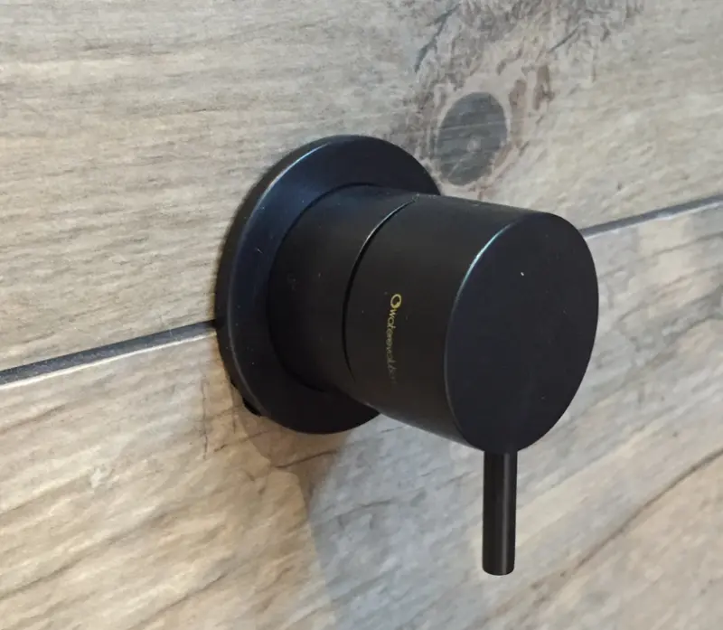 Waterevolution Flow vestavěný 2cestný přepínač matná černá s kulatou rozetou T1482SPR