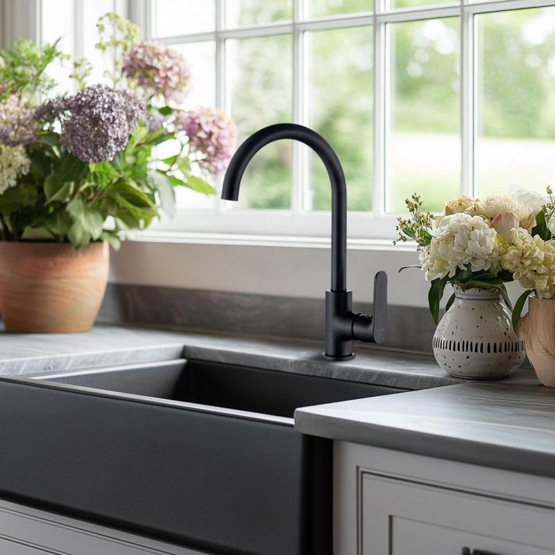 AquaTrimo Chopin jednopáková kuchyňská baterie matná černá 21CP7374SW