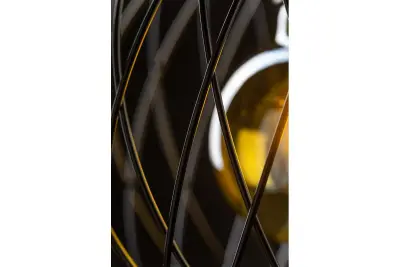 Decor Viela černá drátěná kovová závěsná lampa kulového tvaru, průměr 25 cm 6972