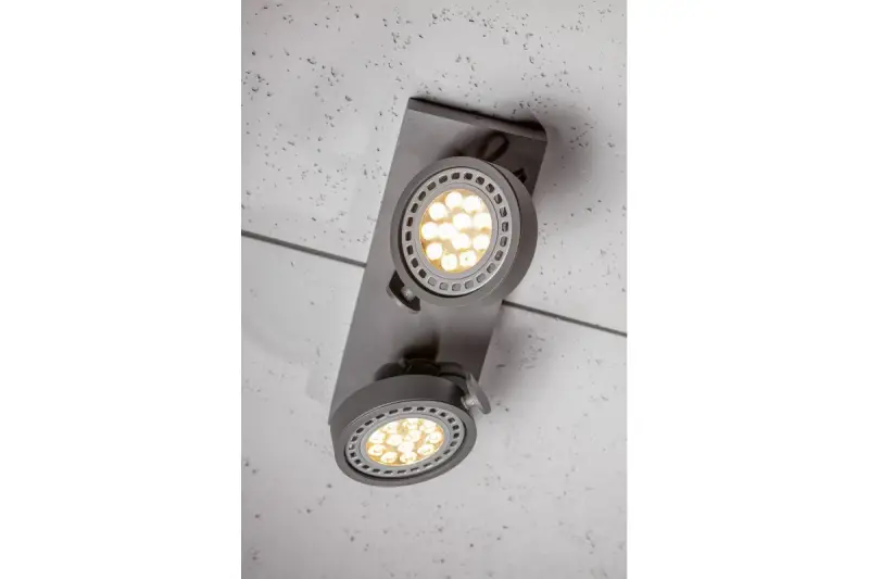 Decor Wally stropní nebo nástěnná lampa antracitová v pohyblivé hlavě 2 světelné zdroje 4304