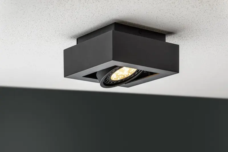 Decor Loid funkční černé stropní svítidlo s jedním světelným bodem 4687