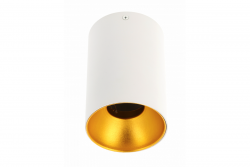 De plafondlamp TENSA aluminium 96x140 IP20 GU10 rond wit. 1208964019